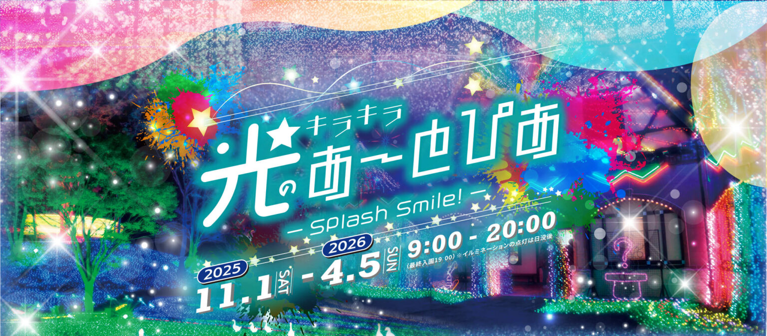 東京ドイツ村 イルミネーション