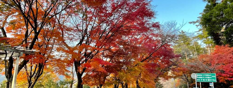 奥琵琶湖パークウェイから望む琵琶湖と山々