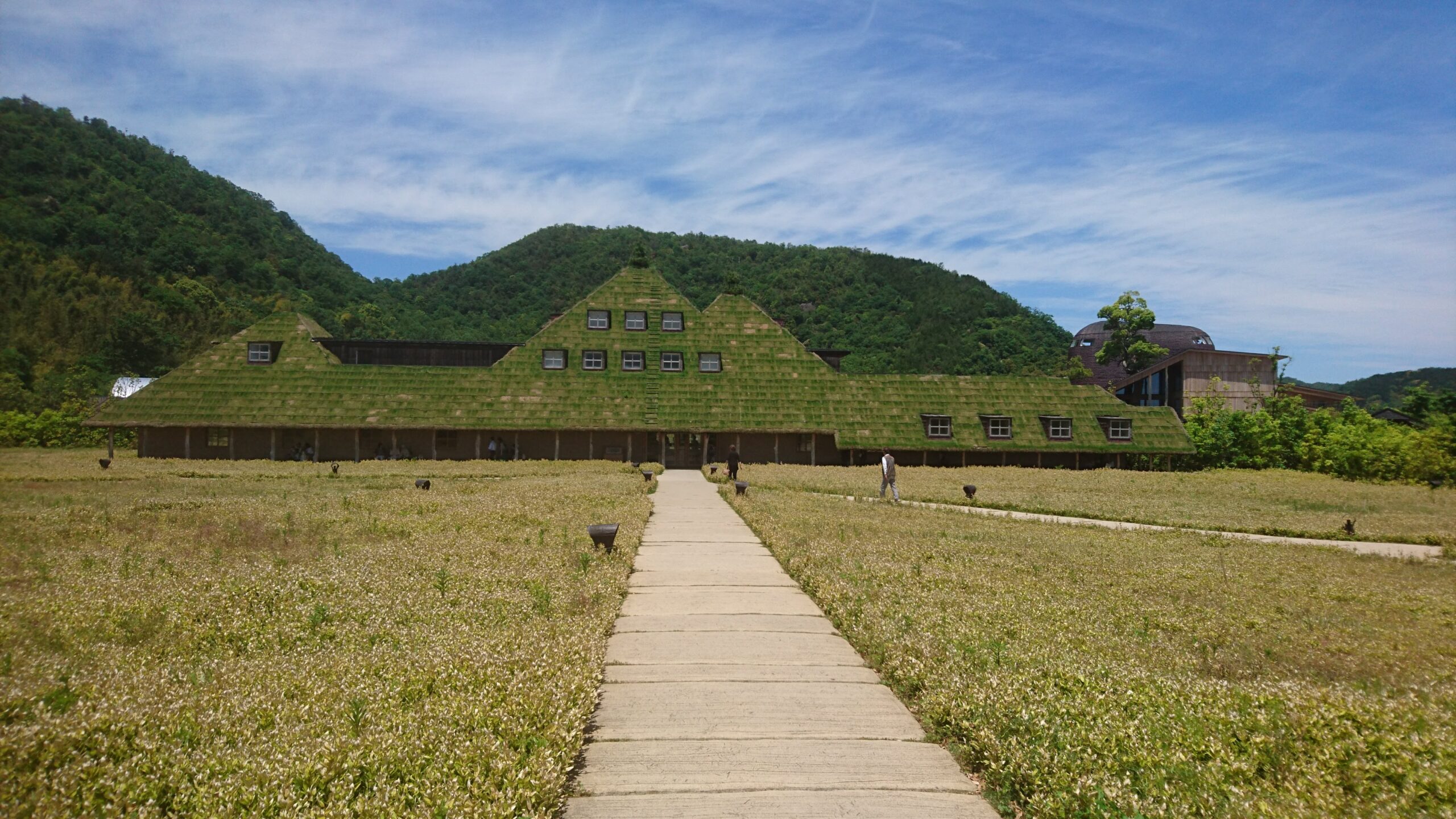 ラ コリーナ近江八幡の草屋根の建物