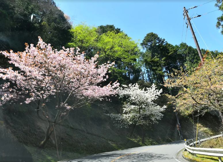 奥比叡ドライブウェイ