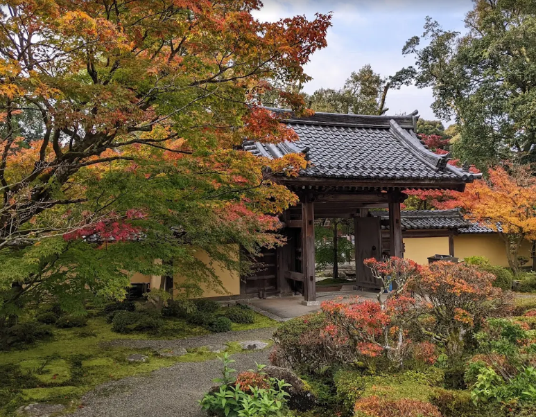 西明寺の紅葉