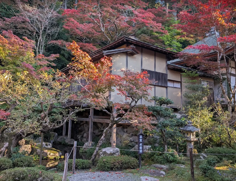 金剛輪寺の血染めのもみじ