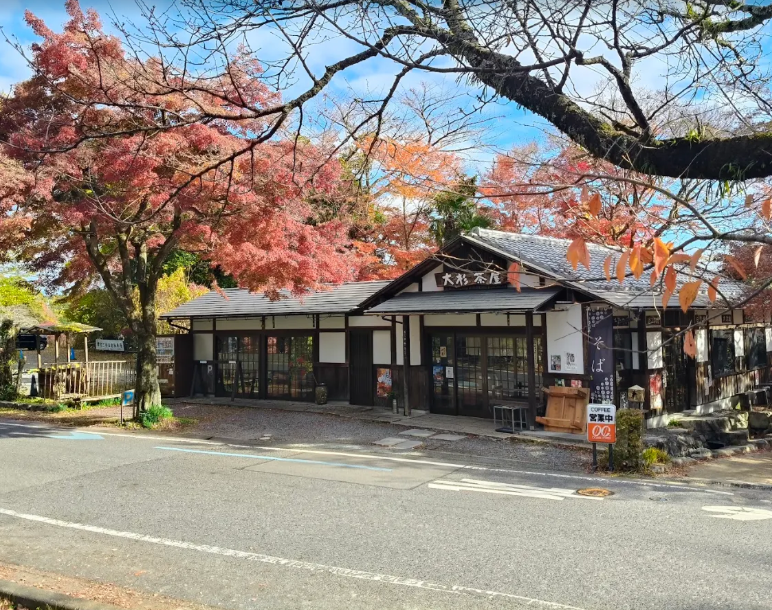 日吉大社の参道