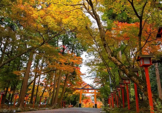 日吉大社の境内