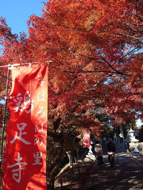 鶏足寺の散り紅葉