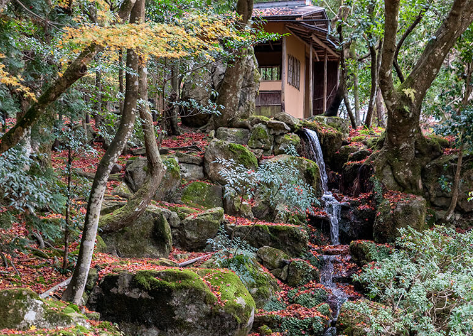 旧竹林院の床もみじ
